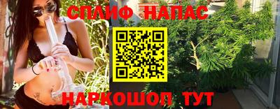 Альфа ПВП Сланцы